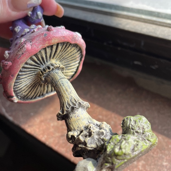 Garden mushroom - Picture 3 of 4